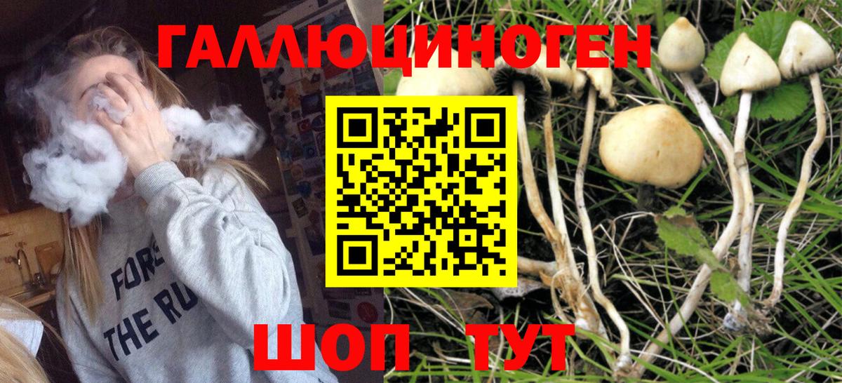 Галлюциногенные грибы Magic Shrooms Альметьевск